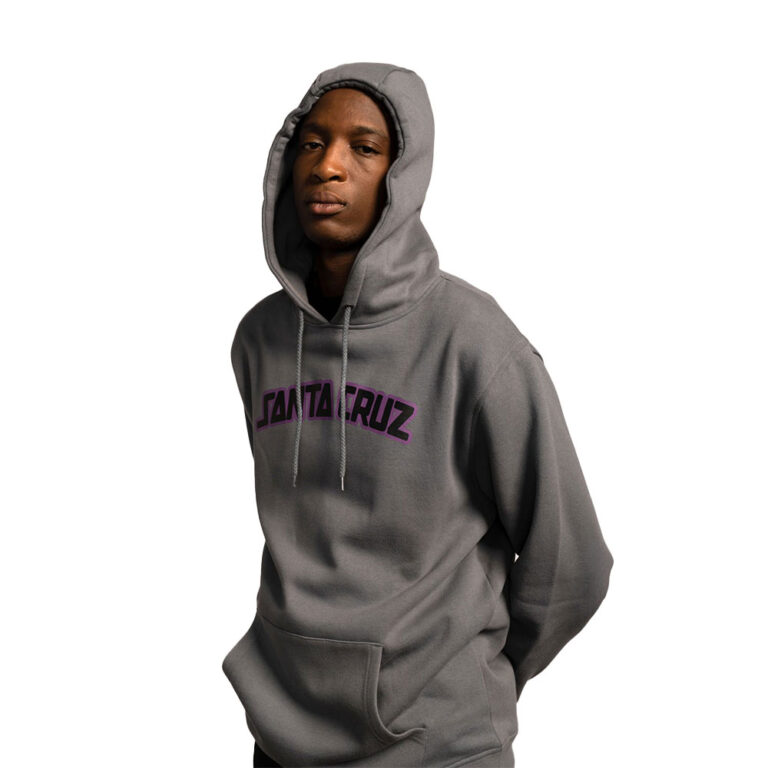 Santa Cruz Arch Strip Hoodie Iron Grey