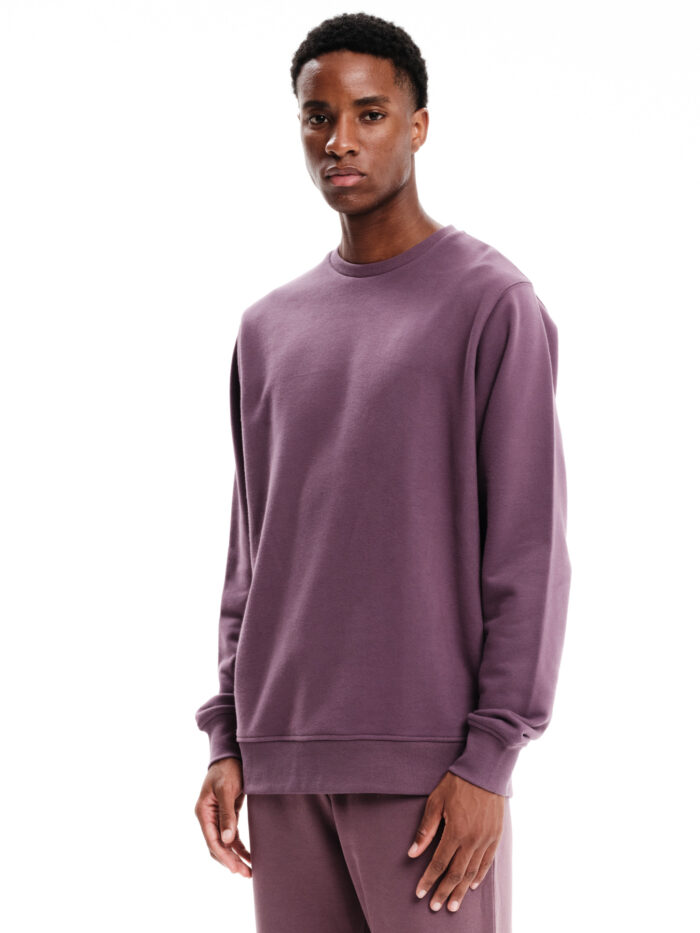 Emerson 232.EM20.306 Ανδρικό Hoodie D.Purple