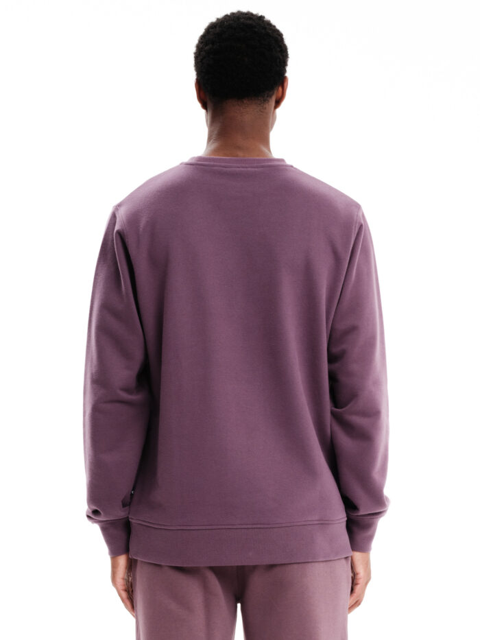 Emerson 232.EM20.306 Ανδρικό Hoodie D.Purple