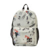 DC Backsider Seasonal 4 Backpack 20L Multi