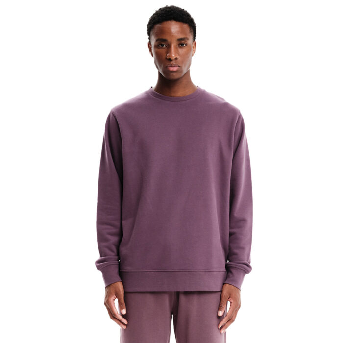 Emerson 232.EM20.306 Ανδρικό Hoodie D.Purple